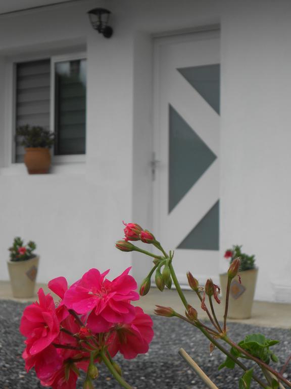 Appartement Abadie Bagneres-de-Bigorre Bagian luar foto
